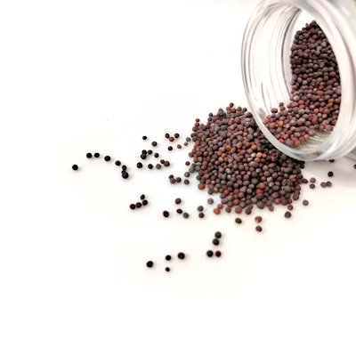 Mustard Seeds (Black)
