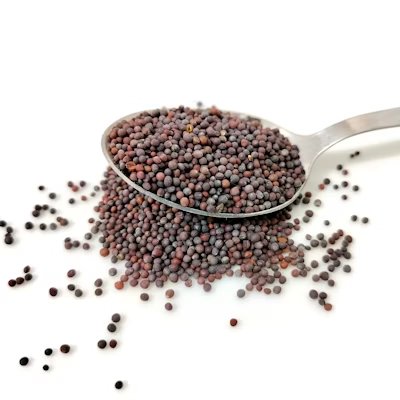 Mustard Seeds